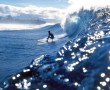 Papel de Parede Surfando