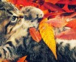 Papel de Parede Gatinho Brincando com Folhas