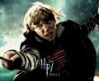 Papel de Parede Ron HP 7