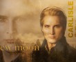 Papel de Parede Carlisle Cullen Lua Nova
