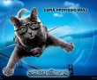 Papel de Parede Espiã Profissional Miau – Como Cães e Gatos