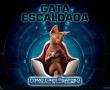 Papel de Parede Gata Escaldada – Como Cães e Gatos