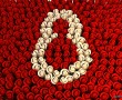 Papel de Parede 8 de Março – Dia da Mulher