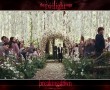 Papel de Parede Amanhecer, Parte 1: Casamento Mais Aguardado