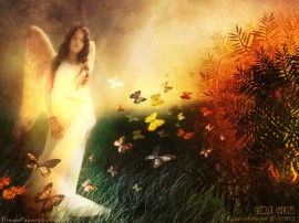 Papel de parede 'Anjo – Borboletas'