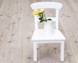 Papel de Parede Cadeira – Vaso de Flor