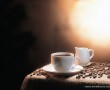 Papel de Parede Caf茅 e Leite