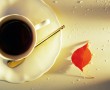 Papel de Parede Caf茅 e Folha