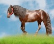 Papel de Parede Cavalo – Crina Crespa