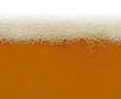 Papel de Parede Cerveja com Colarinho