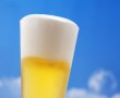 Papel de Parede Cerveja no Ver茫o