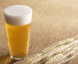 Papel de Parede Cerveja de Trigo