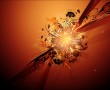 Papel de Parede Design: Explisão Laranja