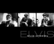 Papel de Parede Elvis – 脥dolo