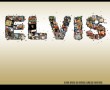 Papel de Parede Elvis – Tudo