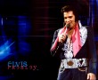Papel de Parede Elvis – S铆mbolo