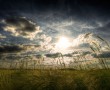 Papel de Parede Entardecer no Campo