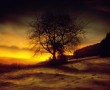 Papel de Parede Entardecer no Campo