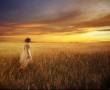 Papel de Parede Entardecer Caminhando no Campo