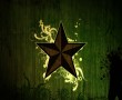 Papel de Parede Estrela Adornada
