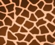 Papel de Parede Estampa de Girafa