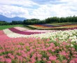 Papel de Parede Japão – Hokkaido