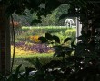 Papel de Parede Janela – Jardim Escondido
