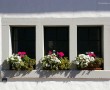 Papel de Parede Janela – Com Flores