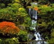 Papel de Parede Japão – Jardim