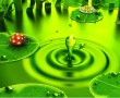 Papel de Parede Joaninha Olhando a Gota no Lago
