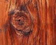 Papel de Parede Madeira da Árvore