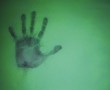 Papel de Parede Impressão de Mão na Parede Verde