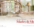 Papel de Parede Marley e Bagunça