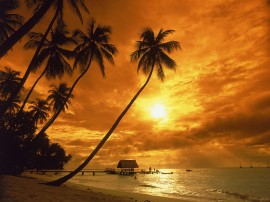Papel de parede 'Pôr-do-sol na Praia: Paradisíaco'