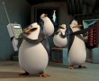 Papel de Parede Pinguins de Madagascar – Planos