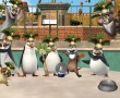 Papel de Parede Pinguins de Madagascar – Dança