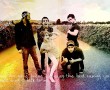 Papel de Parede Paramore: Na Estrada