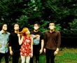 Papel de Parede Paramore: Árvores