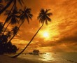 Papel de Parede Pôr-do-sol na Praia: Paradisíaco