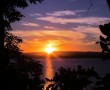 Papel de Parede Pôr-do-sol na Praia: Árvores
