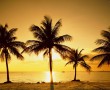 Papel de Parede Pôr-do-sol na Praia: Especial