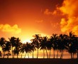 Papel de Parede Pôr-do-sol na Praia: Tropical