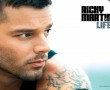Papel de Parede Ricky Martin – Life