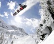 Papel de Parede Snowboard – Sob as Árvores