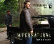 Papel de Parede Supernatural – Warner