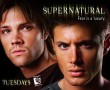 Papel de Parede Supernatural – Irmãos Winchester
