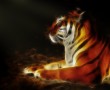 Papel de Parede Desenho Gráfico de Tigre