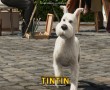 Papel de Parede Tintin: Milu