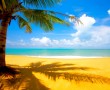 Papel de Parede Verão Paradisíaco