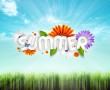 Papel de Parede Verão Florido